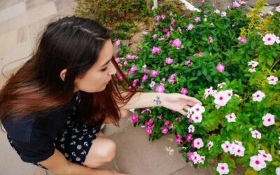 Jak prawidłowo sadzić begonie w ogrodzie?