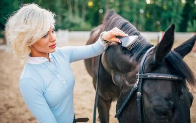 Jakie są miesięczne koszty jazdy konnej?